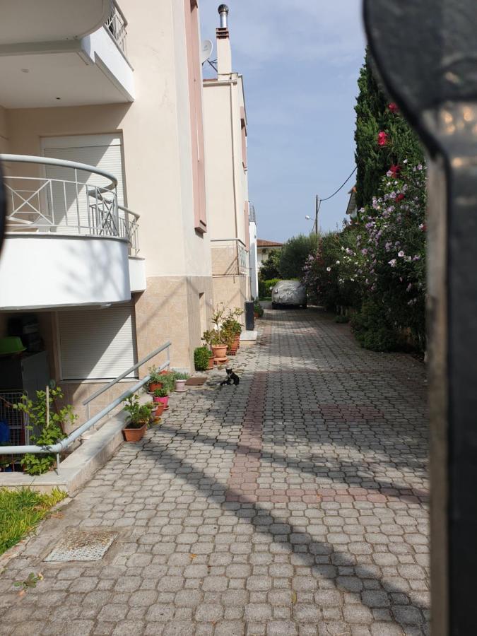 Appartement Iliana House à Néoi Epivátai Extérieur photo